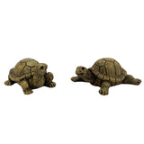 Micro Landscape Simulation Frog Decoration Landscaping Accessories Interior Resin Turtle Design Crafts Gardening Decor.