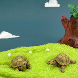 Micro Landscape Simulation Frog Decoration Landscaping Accessories Interior Resin Turtle Design Crafts Gardening Decor.